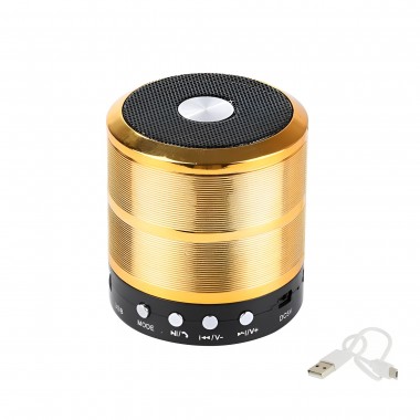 Φορητό Ασύρματο Ηχείο Bluetooth 5W με Διάρκεια Μπαταρίας έως 3 Ώρες USB/TF/FM WS-887 Χρυσό