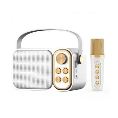 Mini Σύστημα Karaoke με Ασύρματο Μικρόφωνο Bluetooth - TF - USB - AUX YS-104 Λευκό